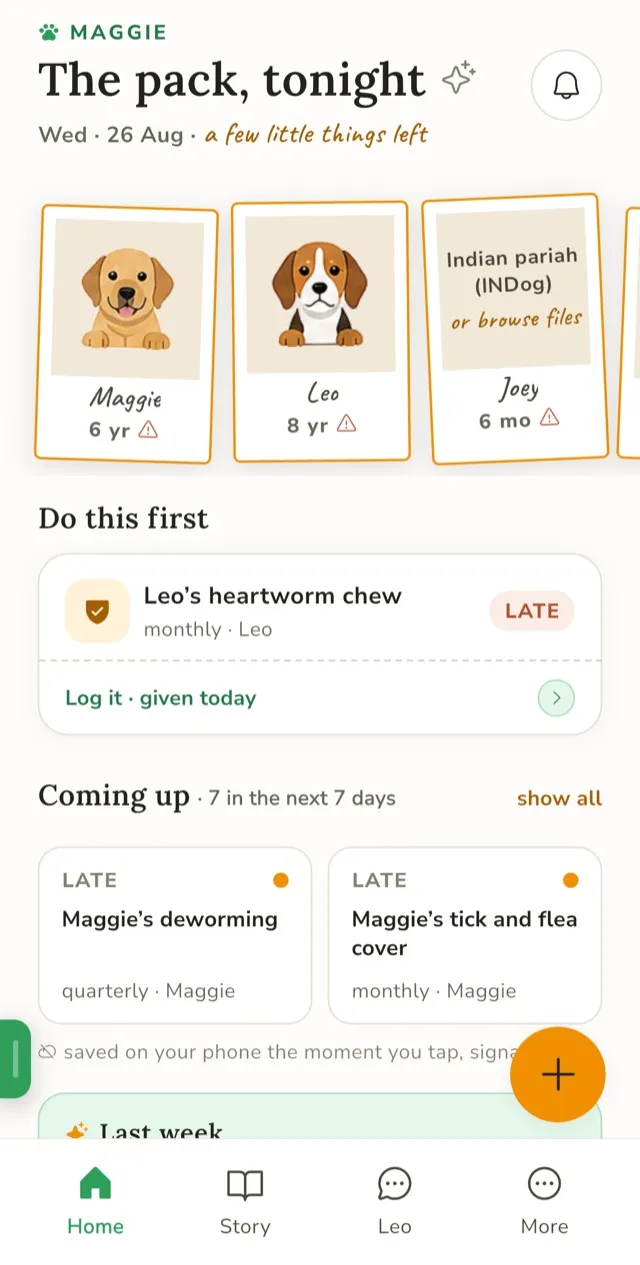 Maggie app home screen showing a dog's health overview