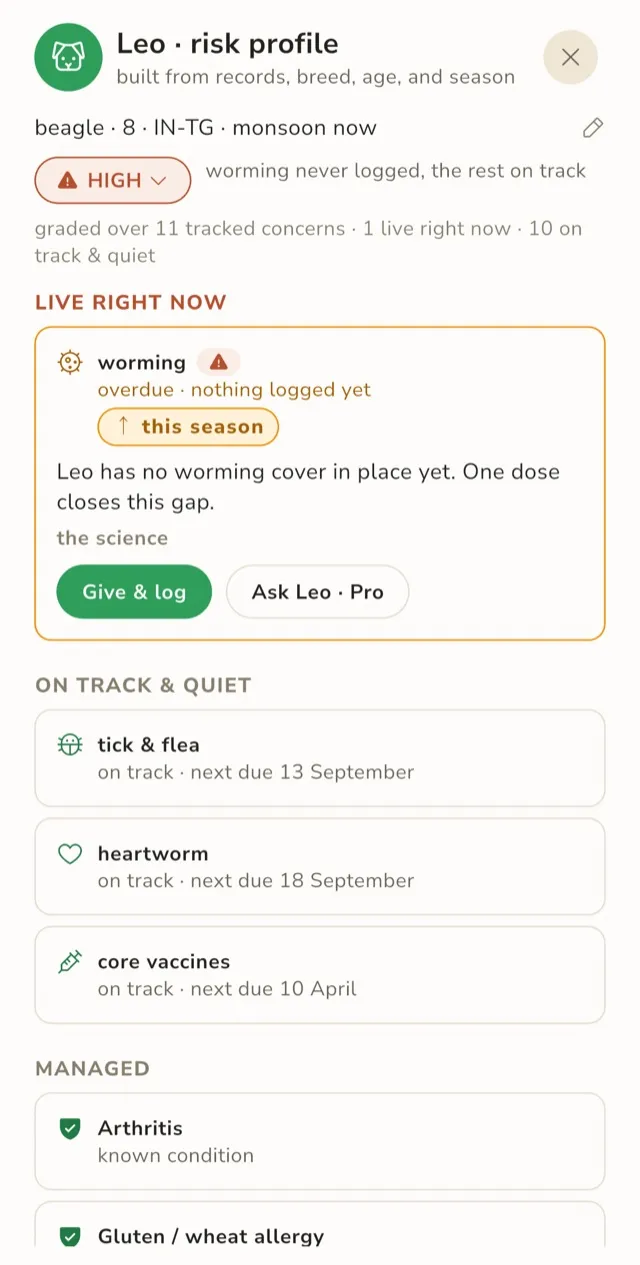Maggie's risk profile screen for Leo, a Beagle in a monsoon zone: worming overdue, tick and flea and heartworm on track